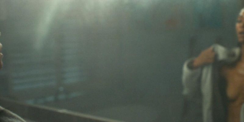 Zoe Saldana nude (6)
